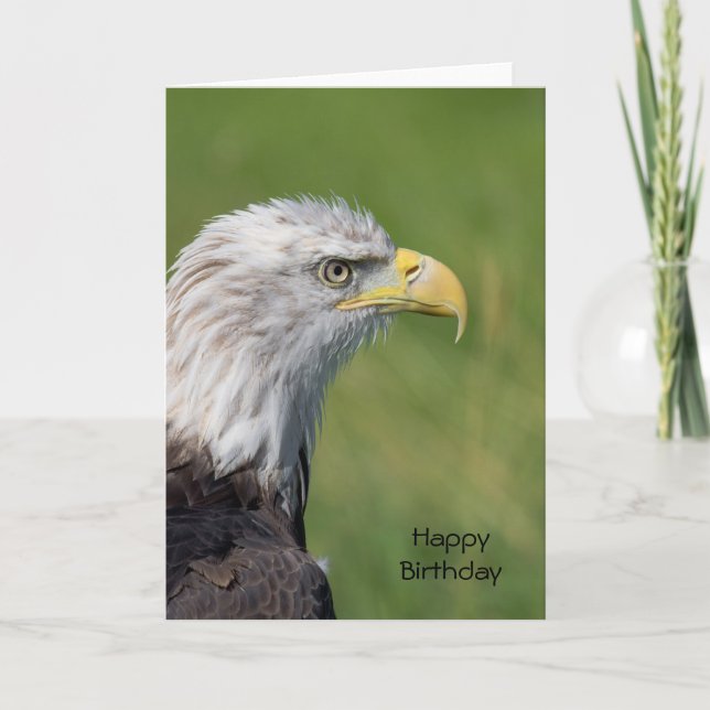 Cartão Pássaro do Presy Happy Birthday Card (Frente)