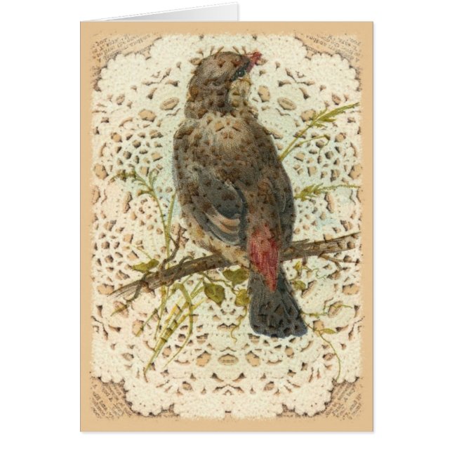 Cartão Pássaro e Doilie do vintage (Frente)