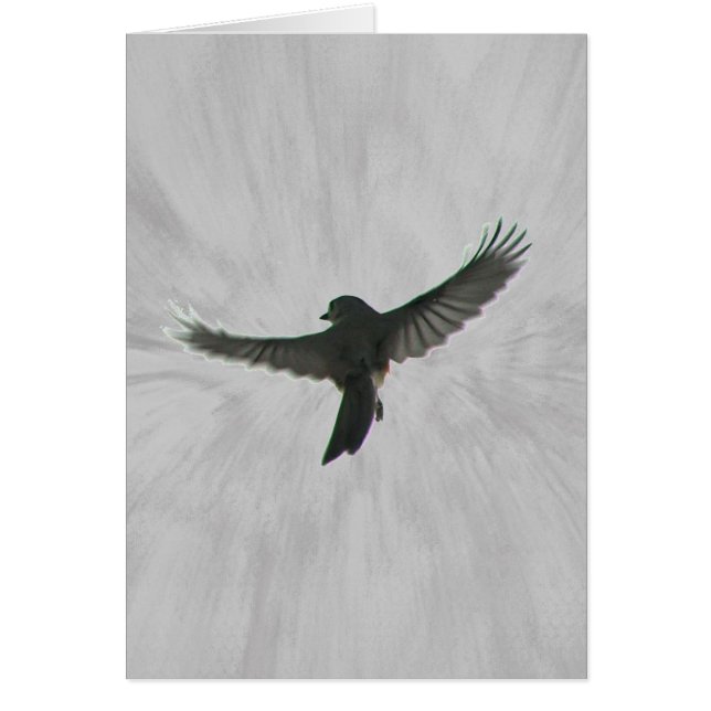 Cartão Pássaro em vôo (Frente)