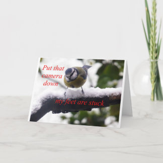 Cartão pássaro engraçado na neve