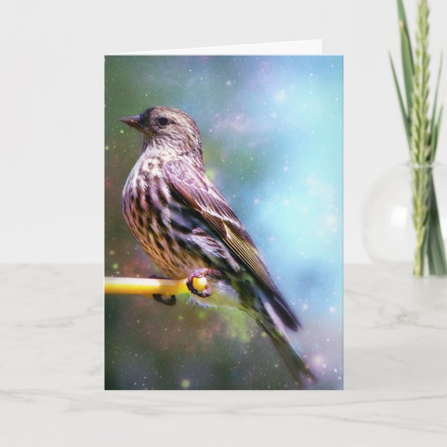 Cartão Pássaro Espacial, Dia de as mães (Frente)