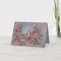 Pássaro Estrelinha Rubra