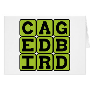 Cartão Pássaro Gaiado, Pet Aviário