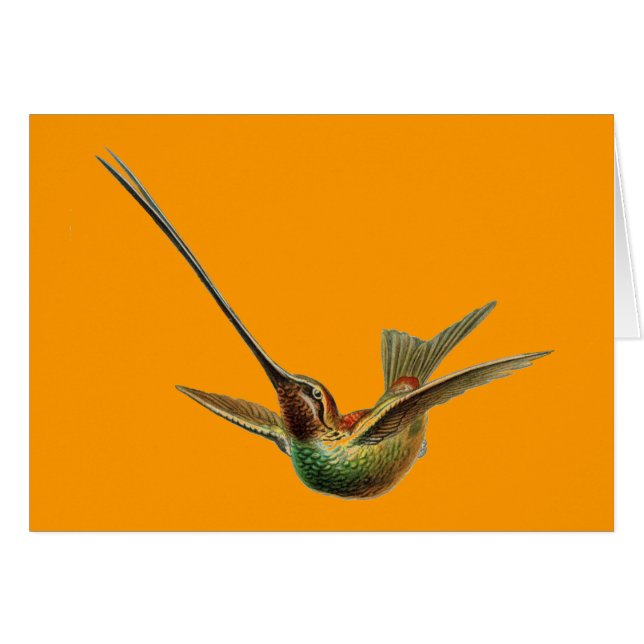 Cartão Pássaro Haeckel (Frente Horizontal)