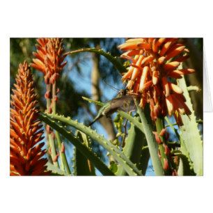 Cartão Pássaro Humino Chinês Negro em Voo