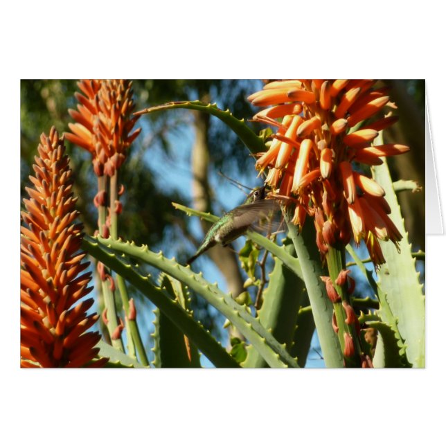 Cartão Pássaro Humino Chinês Negro em Voo (Frente Horizontal)