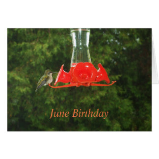 Cartão Pássaro Humming no alimentador