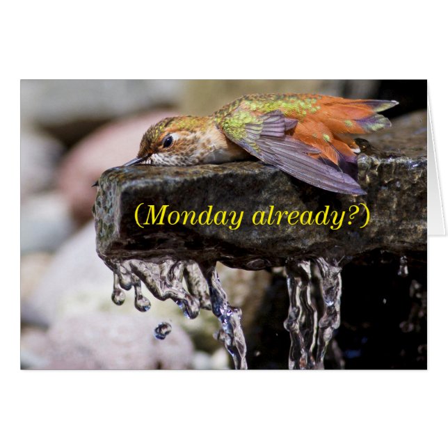 Cartão Pássaro Hummingau Posto na Água (Frente Horizontal)