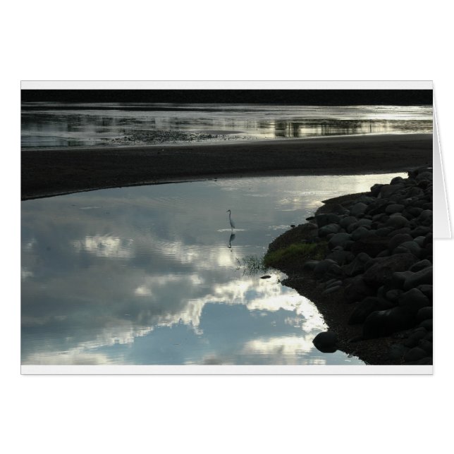 Cartão Pássaro na Água (Frente Horizontal)