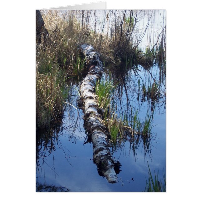 Cartão Pássaro na Água (Frente)