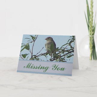 Cartão Pássaro na ramificação