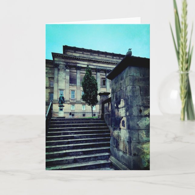 Cartão Pássaro, no parque (Frente)