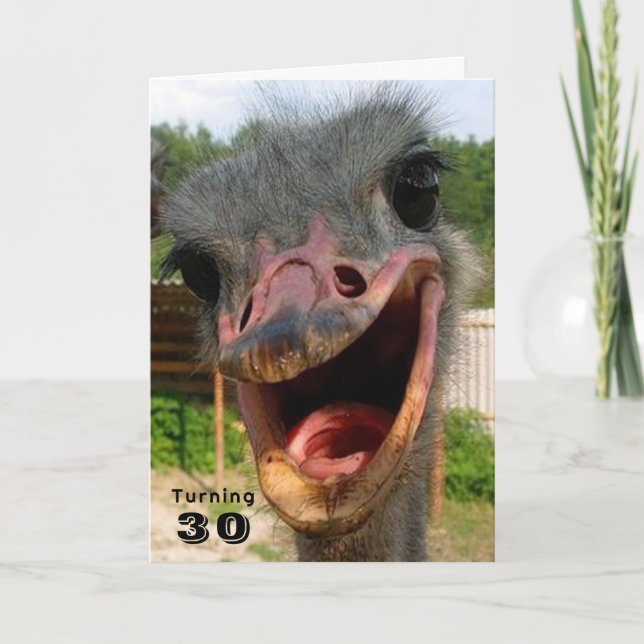 Cartão Pássaro Ostrich Engraçado Transformando 30 Anivers (Frente)