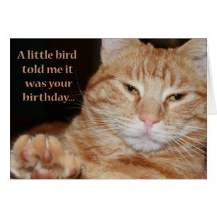 Cartão Pássaro pequeno