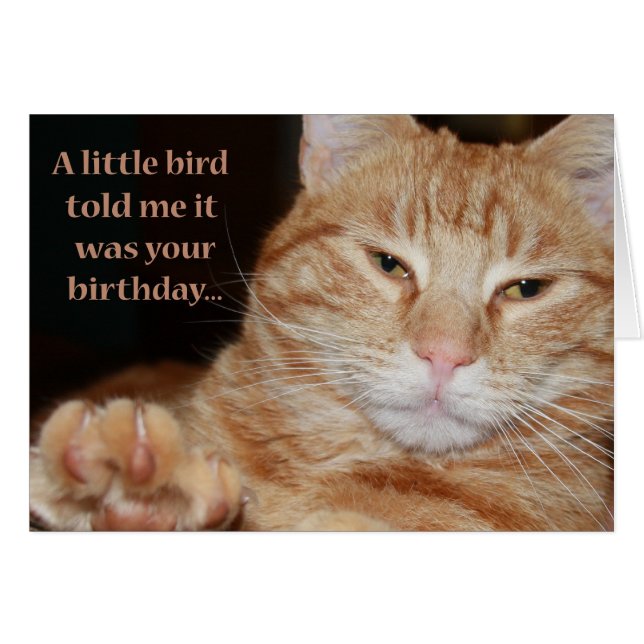 Cartão Pássaro pequeno (Frente Horizontal)