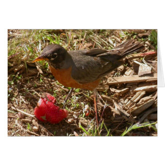 Cartão Pássaro primitivo recebe...