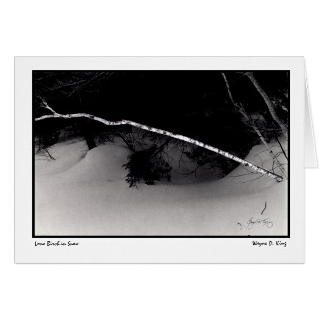 Cartão Pássaro Solitário na Neve (Frente Horizontal)