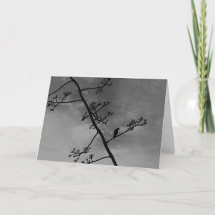 Cartão Pássaro Spooky na Silhueta Limb "Feliz Dia das Bru