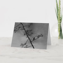 Cartão Pássaro Spooky na Silhueta Limb "Feliz Dia das Bru