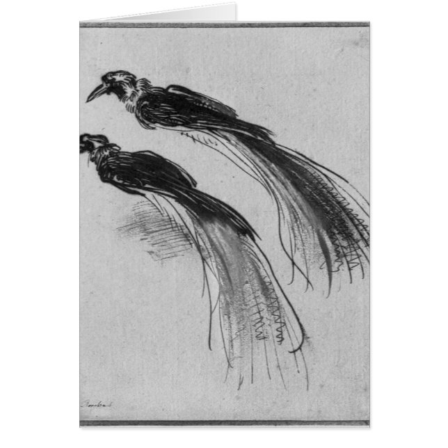 Cartão Pássaros (Frente)