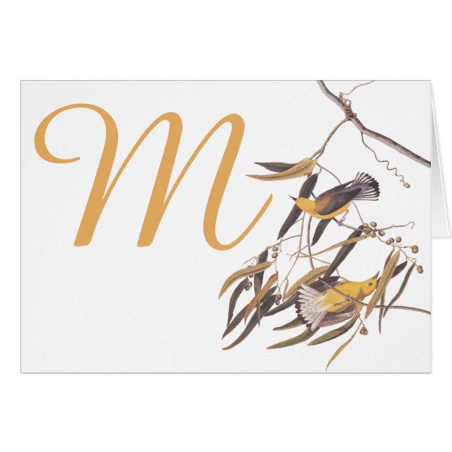 Cartão Pássaros Amarelos Prothonotários de Audubon (Frente Horizontal)