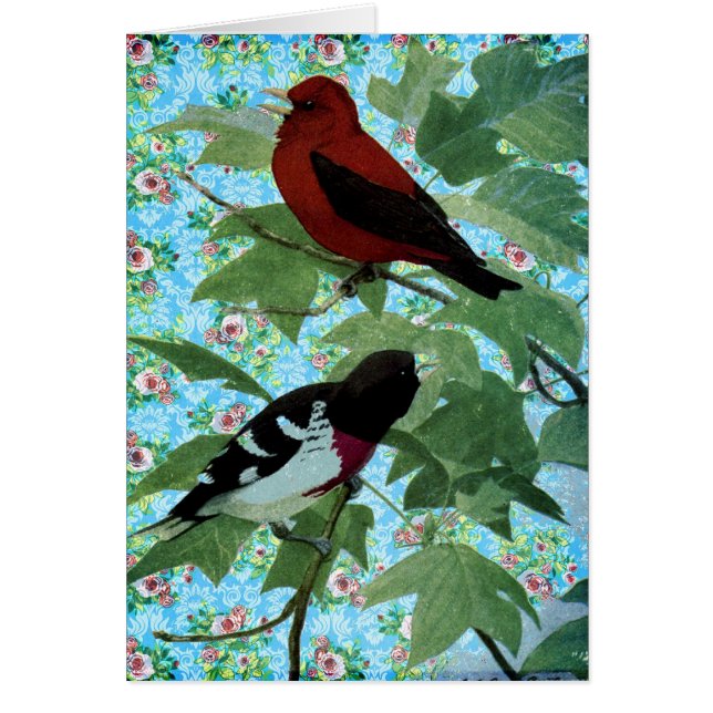 Cartão Pássaros bonito do dia (Frente)
