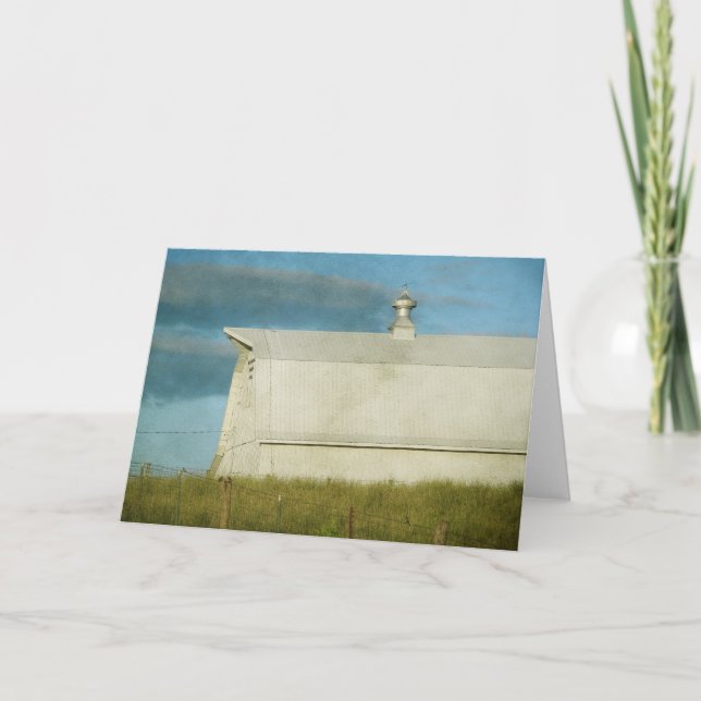 Cartão Pássaros brancos em cerca (Frente)