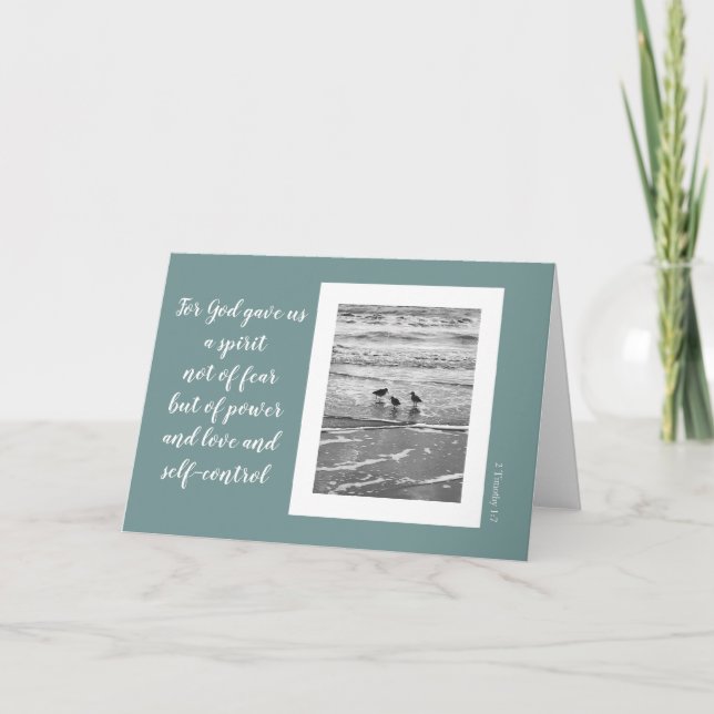 Cartão Pássaros da costa, verso das escrituras de Timothy (Frente)