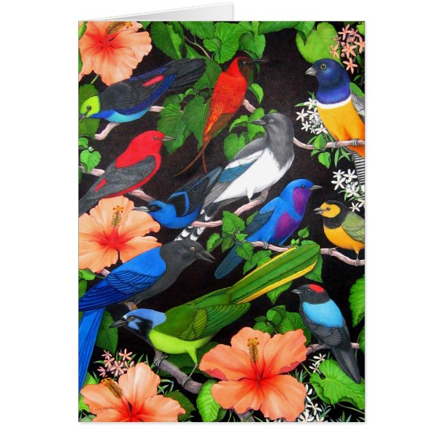 Cartão Pássaros da península do Iucatão (Frente)