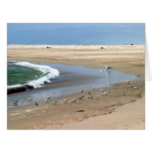 Cartão Pássaros de praia