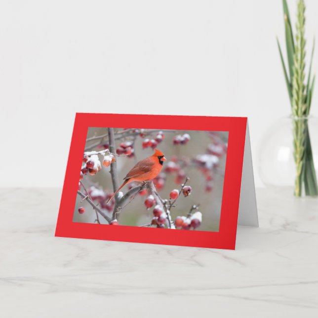 CARTÃO PÁSSAROS DE UMA PENA/CELEBRAÇÃO JUNTOS NO ANIVERSÁ (Frente)