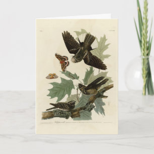 Cartão Pássaros do Leste, Pássaros da América de Audubon