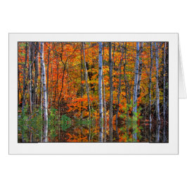 Cartão Pássaros em Highwater