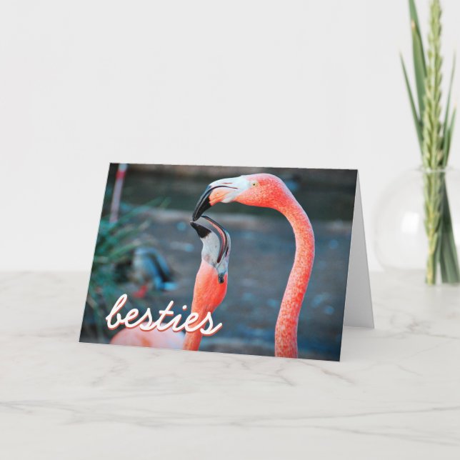 Cartão Pássaros Flamingo Rosa Fotografias Besties Na moda (Frente)