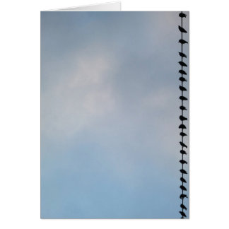 Cartão Pássaros, San Francisco