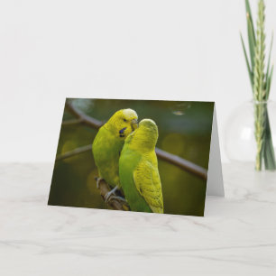 Cartão Pássaros Verde Amarelo-Bonitos em uma Ramificação