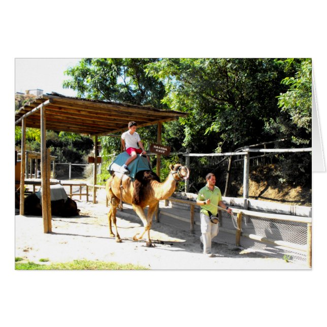 Cartão Passeio do camelo (Frente Horizontal)