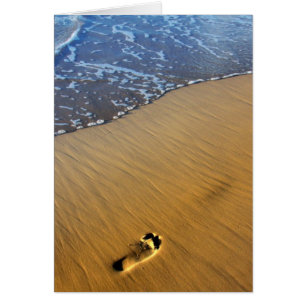 Cartão Passos De Praia