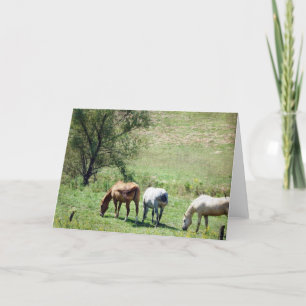 Cartão Pastagem de Cavalo