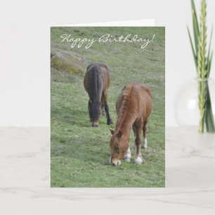 Cartão Pastando o aniversário das espigas de Galês