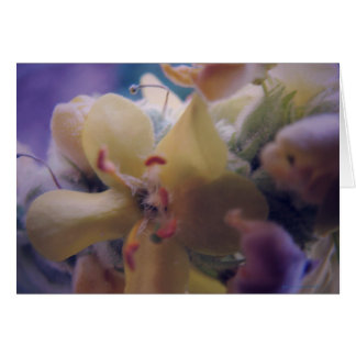 Cartão Pastel Flowers