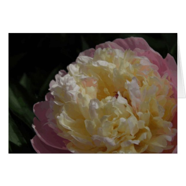 Cartão Pastel Petals (Frente Horizontal)