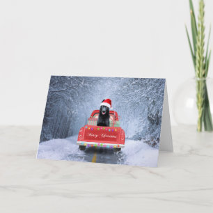 Cartão Pastor Alemão Preto Snow sentado no Natal
