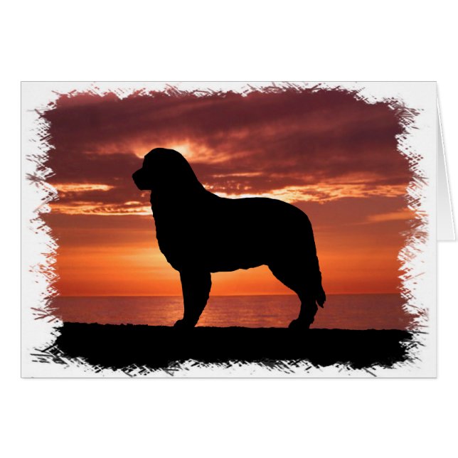 Cartão Pastor australiano (Frente Horizontal)