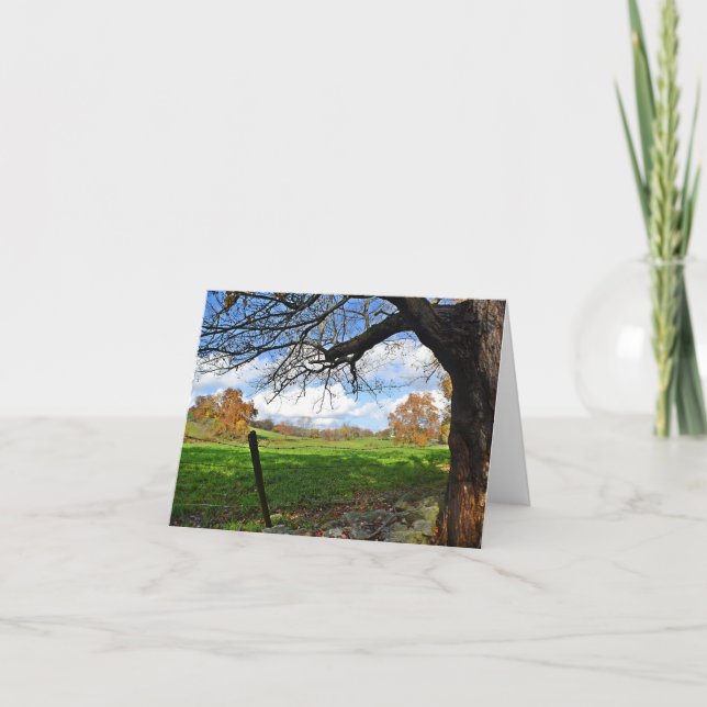 Cartão Pasture Scene Note Card (Frente)