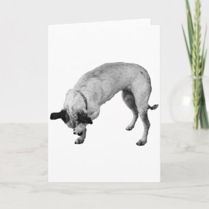 Cartão Pata de Coelho, Desejos Quentes