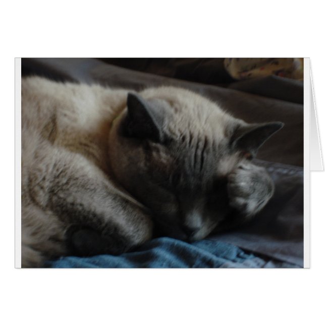 Cartão Pata de Elliott (Frente Horizontal)