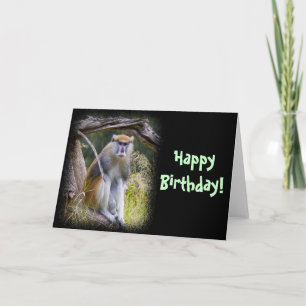Cartão Patas Monkey Birthday