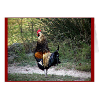 Cartão Patch Work Rooster