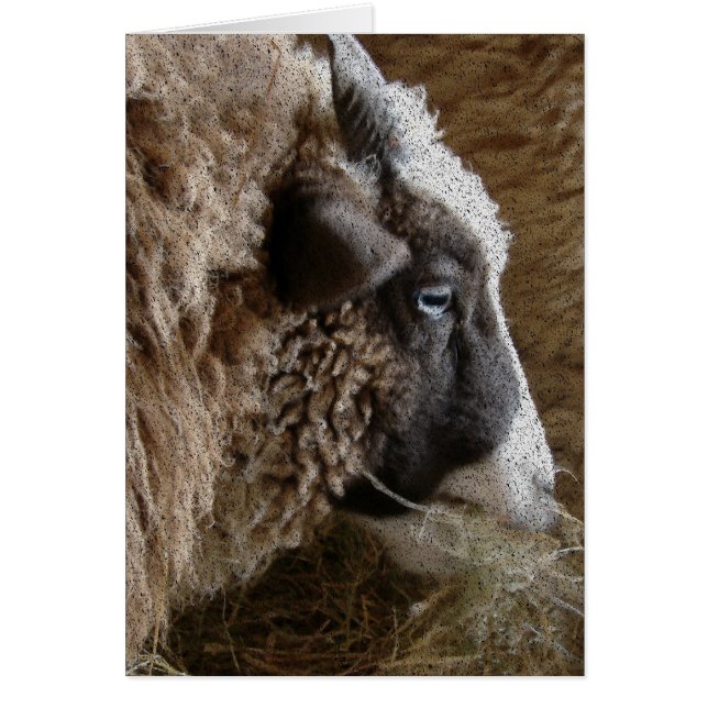 Cartão Patchwork Amy (Frente)